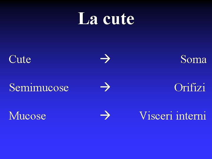 La cute Cute Soma Semimucose Orifizi Mucose Visceri interni 