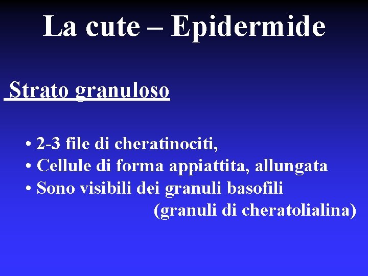 La cute – Epidermide Strato granuloso • 2 -3 file di cheratinociti, • Cellule