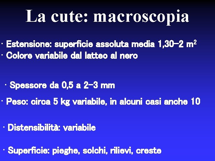 La cute: macroscopia • Estensione: superficie assoluta media 1, 30 -2 m 2 •