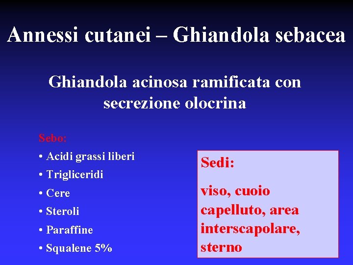 Annessi cutanei – Ghiandola sebacea Ghiandola acinosa ramificata con secrezione olocrina Sebo: • Acidi