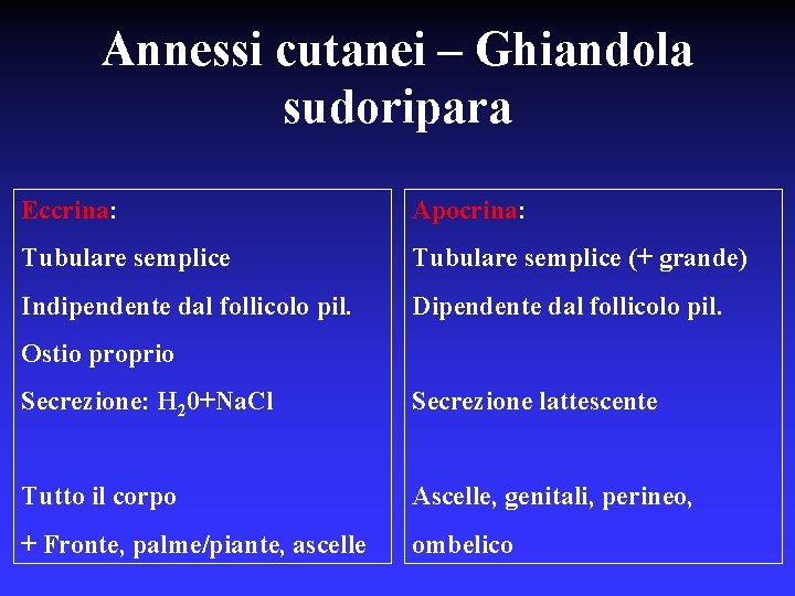 Annessi cutanei – Ghiandola sudoripara Eccrina: Apocrina: Tubulare semplice (+ grande) Indipendente dal follicolo