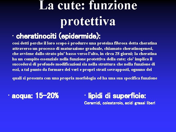 La cute: funzione protettiva • cheratinociti (epidermide): così detti perche il loro scopo è