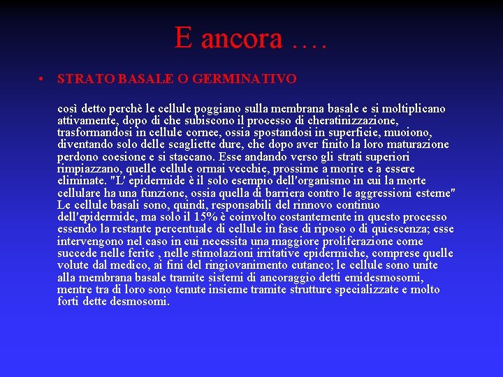 E ancora …. • STRATO BASALE O GERMINATIVO così detto perchè le cellule poggiano