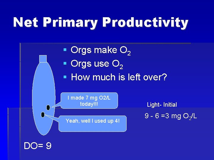 Net Primary Productivity § § § Orgs make O 2 Orgs use O 2