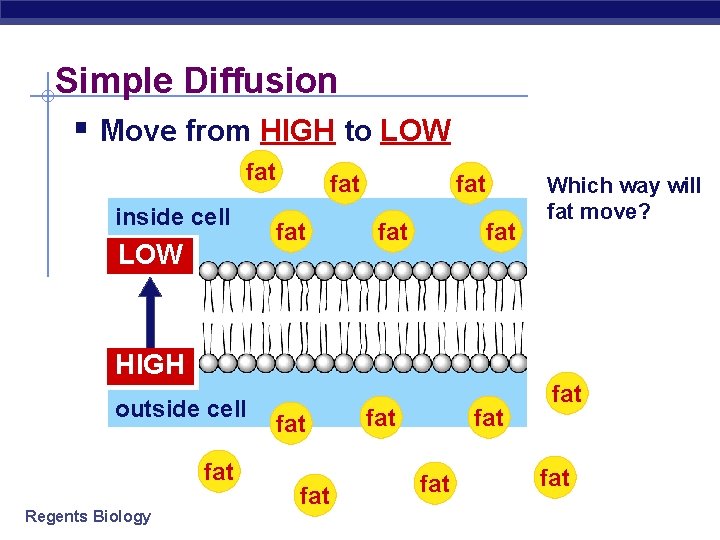 Simple Diffusion § Move from HIGH to LOW fat inside cell LOW fat fat