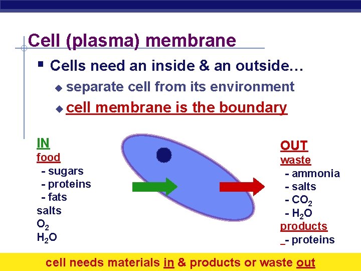 Cell (plasma) membrane § Cells need an inside & an outside… u separate cell
