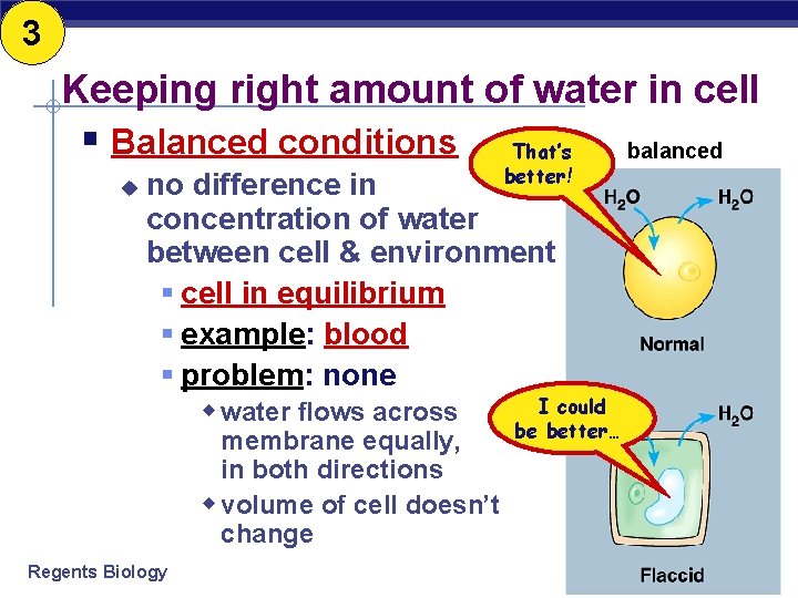 3 Keeping right amount of water in cell § Balanced conditions u That’s better!