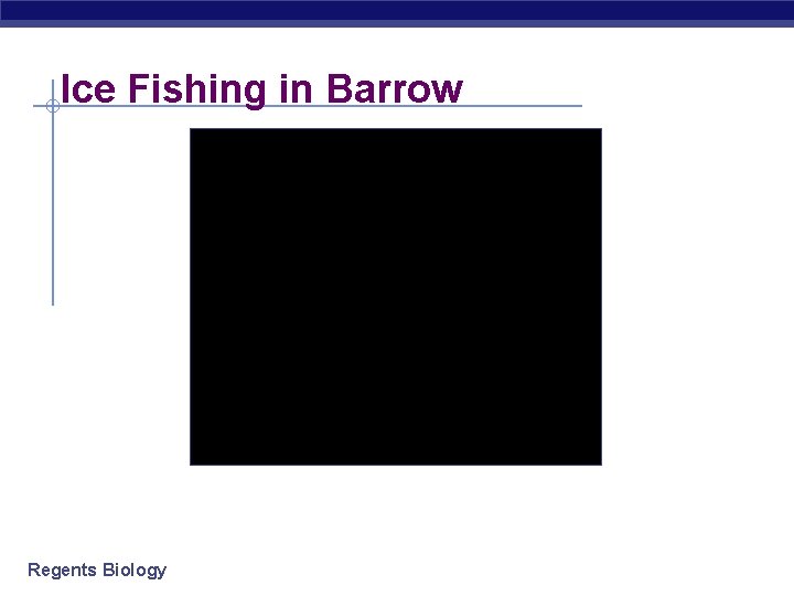 Ice Fishing in Barrow Regents Biology 