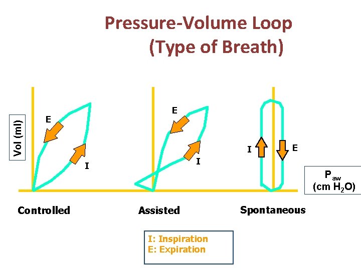 Vol (ml) Pressure-Volume Loop (Type of Breath) E E I I I Controlled E