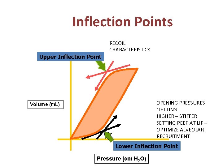 Inflection Points RECOIL CHARACTERISTICS Upper Inflection Point OPENING PRESSURES OF LUNG HIGHER – STIFFER