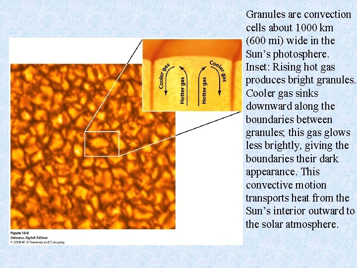 Granules are convection cells about 1000 km (600 mi) wide in the Sun’s photosphere.