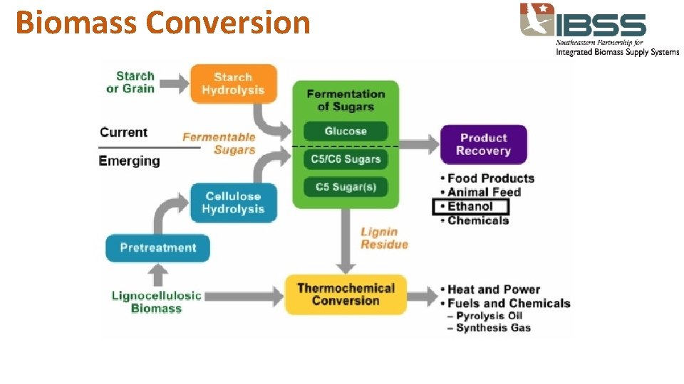 Biomass Conversion 