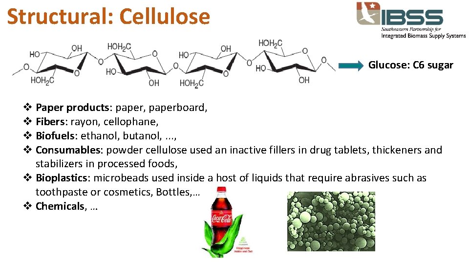 Structural: Cellulose Glucose: C 6 sugar v Paper products: paper, paperboard, v Fibers: rayon,