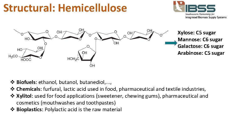 Structural: Hemicellulose Xylose: C 5 sugar Mannose: C 6 sugar Galactose: C 6 sugar