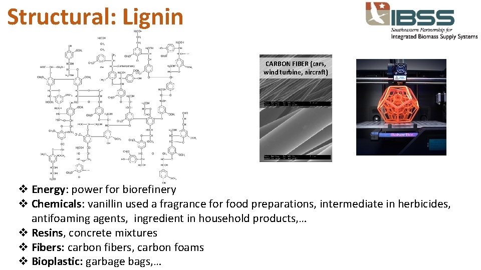 Structural: Lignin CARBON FIBER (cars, wind turbine, aircraft) v Energy: power for biorefinery v