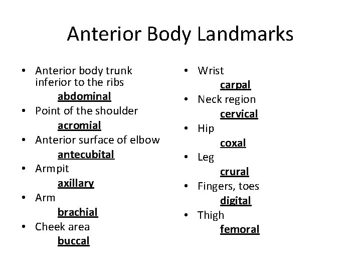 Anterior Body Landmarks • Anterior body trunk inferior to the ribs abdominal • Point Anterior Body Landmarks • Anterior body trunk inferior to the ribs abdominal • Point