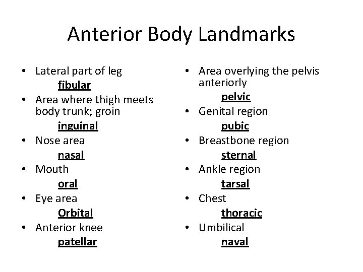 Anterior Body Landmarks • Lateral part of leg fibular • Area where thigh meets