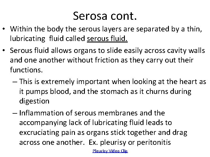 Serosa cont. • Within the body the serous layers are separated by a thin,