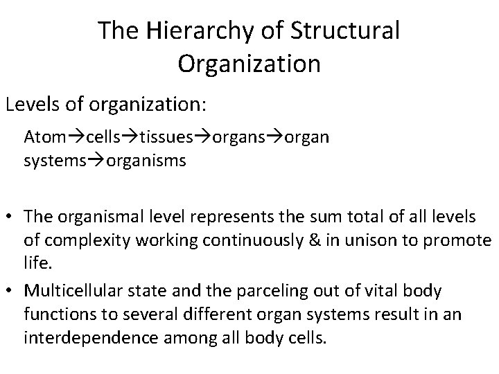 The Hierarchy of Structural Organization Levels of organization: Atom cells tissues organ systems organisms The Hierarchy of Structural Organization Levels of organization: Atom cells tissues organ systems organisms