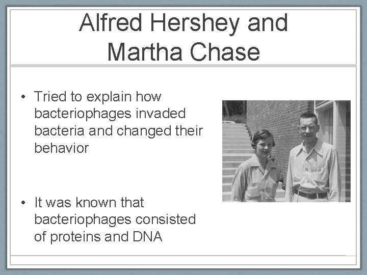 Alfred Hershey and Martha Chase • Tried to explain how bacteriophages invaded bacteria and