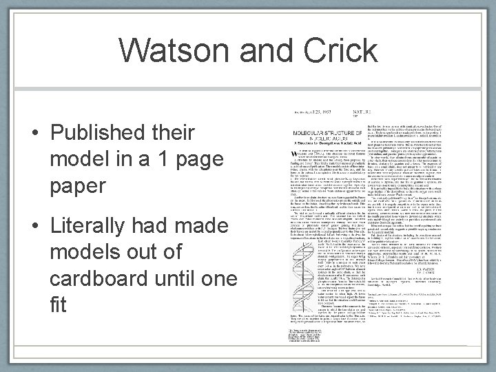 Watson and Crick • Published their model in a 1 page paper • Literally