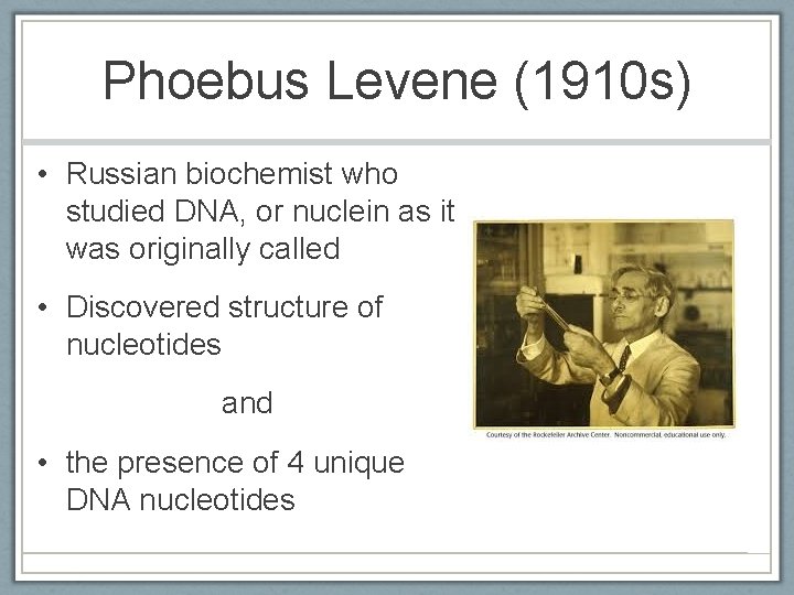 Phoebus Levene (1910 s) • Russian biochemist who studied DNA, or nuclein as it