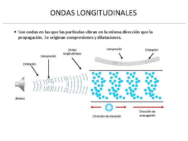 ONDAS LONGITUDINALES • Son ondas en las que las partículas vibran en la misma