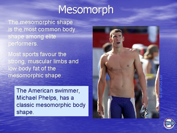 Mesomorph Most sports favour the strong, muscular limbs and low body fat of the