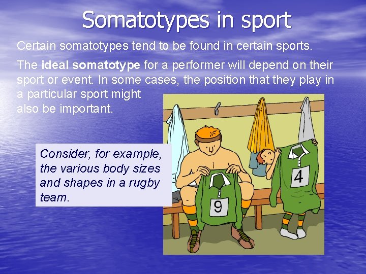 Somatotypes in sport Certain somatotypes tend to be found in certain sports. The ideal