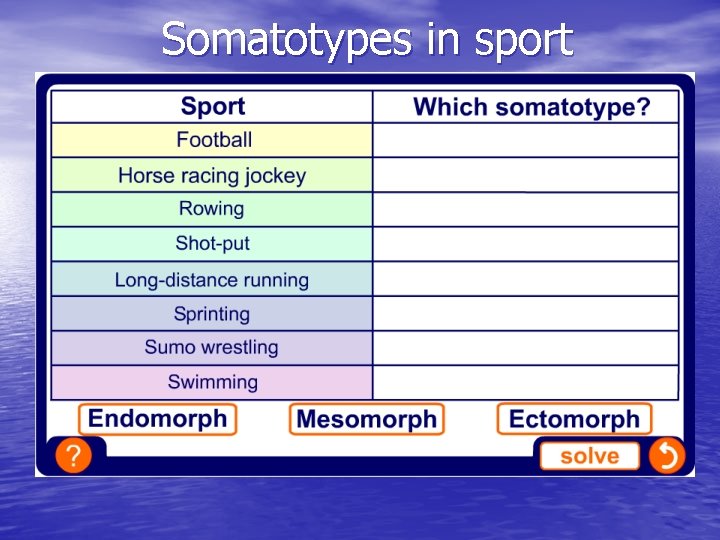 Somatotypes in sport 