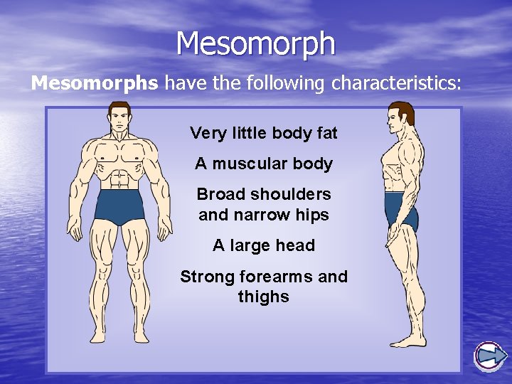 Mesomorphs have the following characteristics: Very little body fat A muscular body Broad shoulders