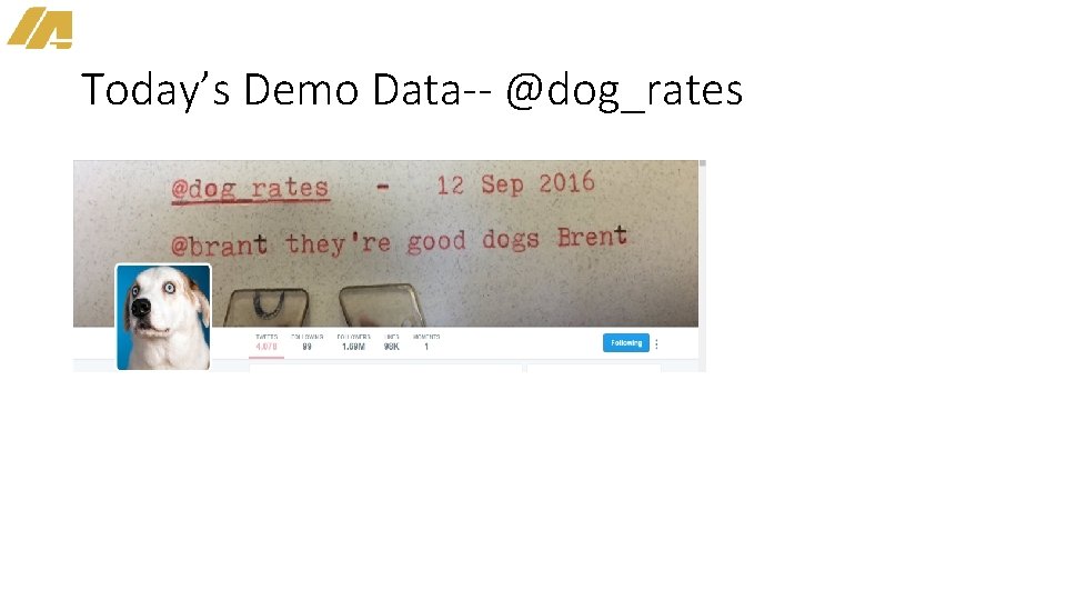 Today’s Demo Data-- @dog_rates 