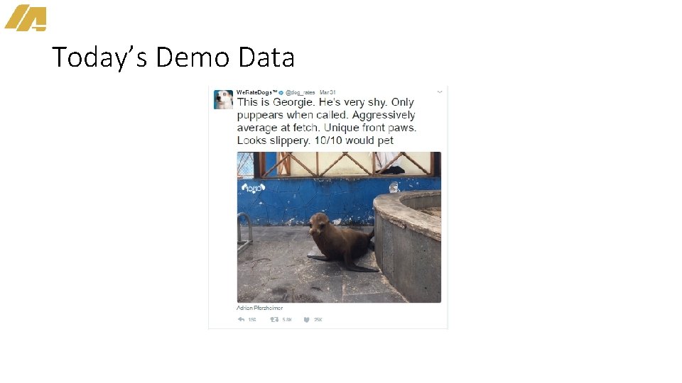 Today’s Demo Data 