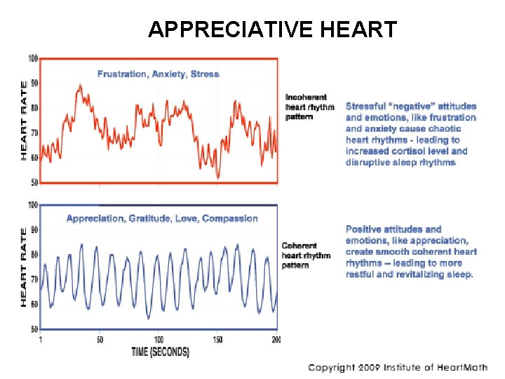 APPRECIATIVE HEART 