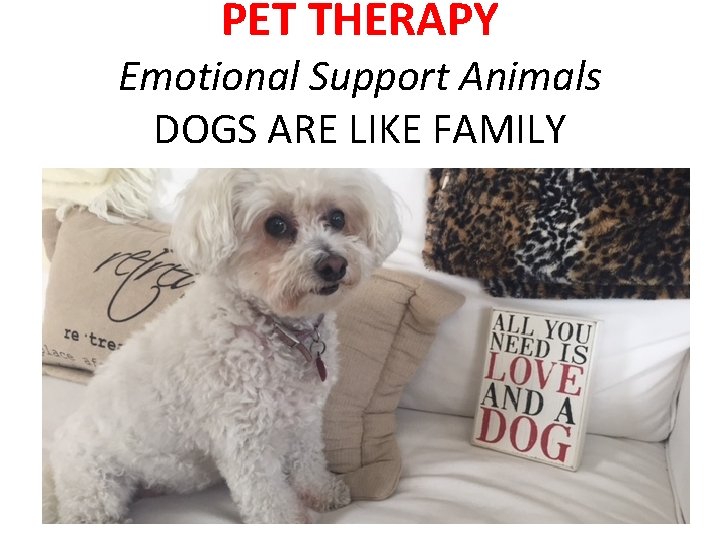 PET THERAPY Emotional Support Animals DOGS ARE LIKE FAMILY 