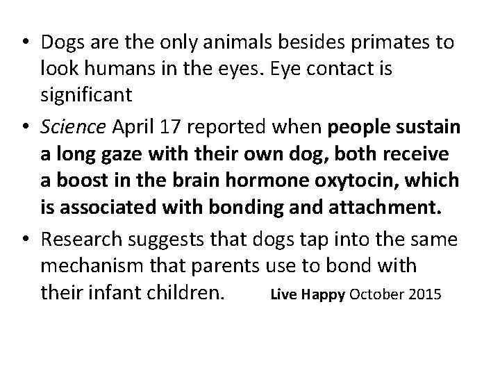  • Dogs are the only animals besides primates to look humans in the