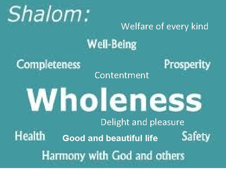 Welfare of every kind Contentment Delight and pleasure Good and beautiful life 