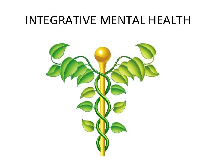 INTEGRATIVE MENTAL HEALTH 