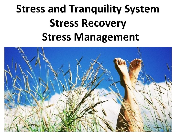 Stress and Tranquility System Stress Recovery Stress Management 
