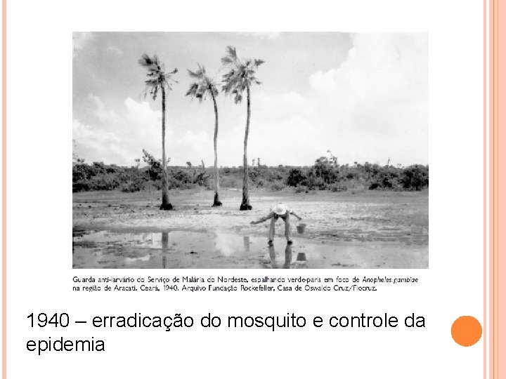 1940 – erradicação do mosquito e controle da epidemia 