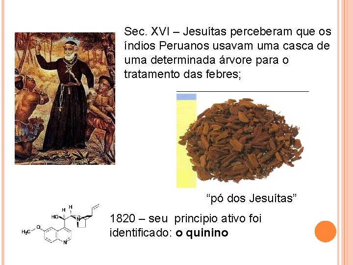 Sec. XVI – Jesuítas perceberam que os índios Peruanos usavam uma casca de uma