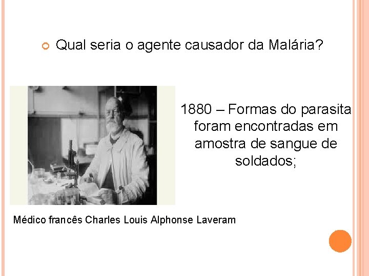  Qual seria o agente causador da Malária? 1880 – Formas do parasita foram