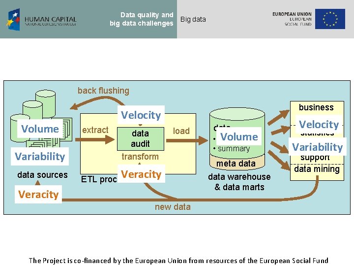 Data quality and big data challenges Big data back flushing Variability Volume data sources