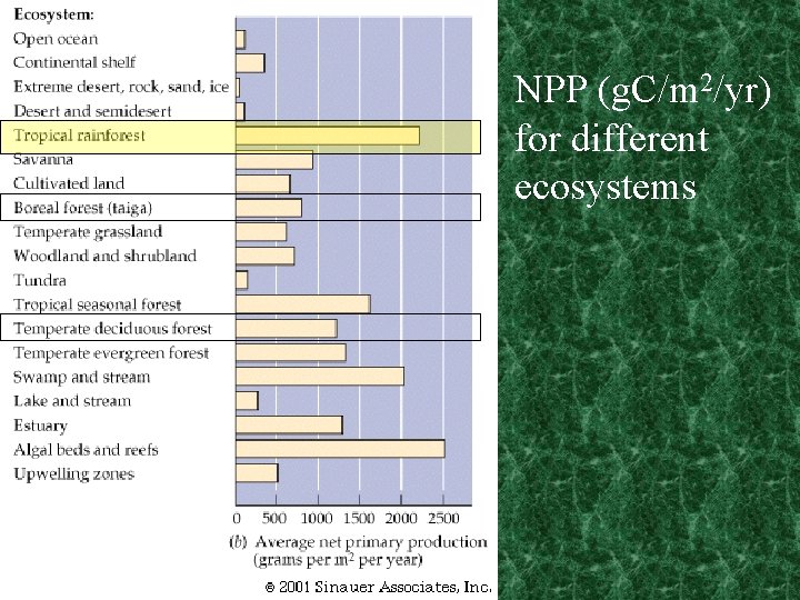 NPP (g. C/m 2/yr) for different ecosystems 