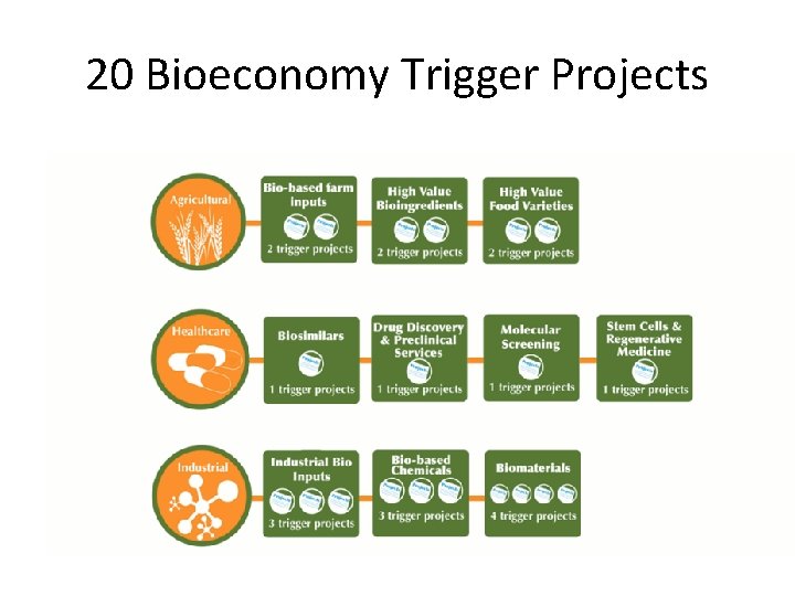 20 Bioeconomy Trigger Projects 
