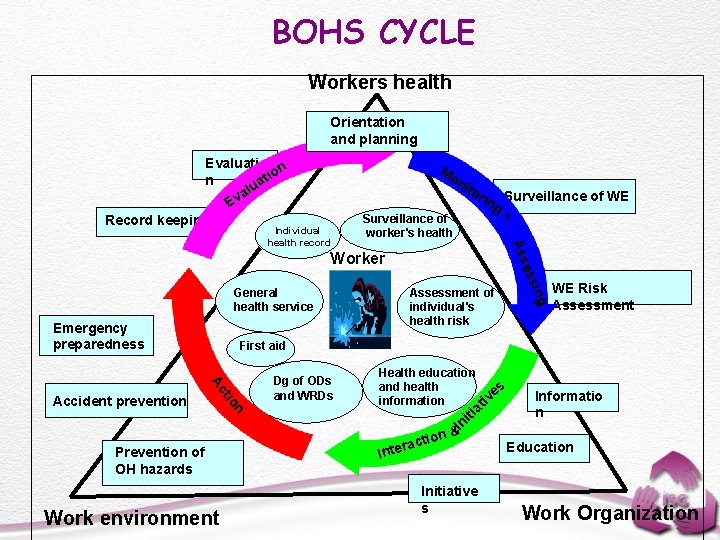 BOHS CYCLE Workers health Orientation and planning Evaluatio n a alu v E Record