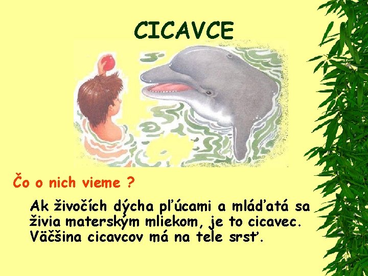 CICAVCE Čo o nich vieme ? Ak živočích dýcha pľúcami a mláďatá sa živia