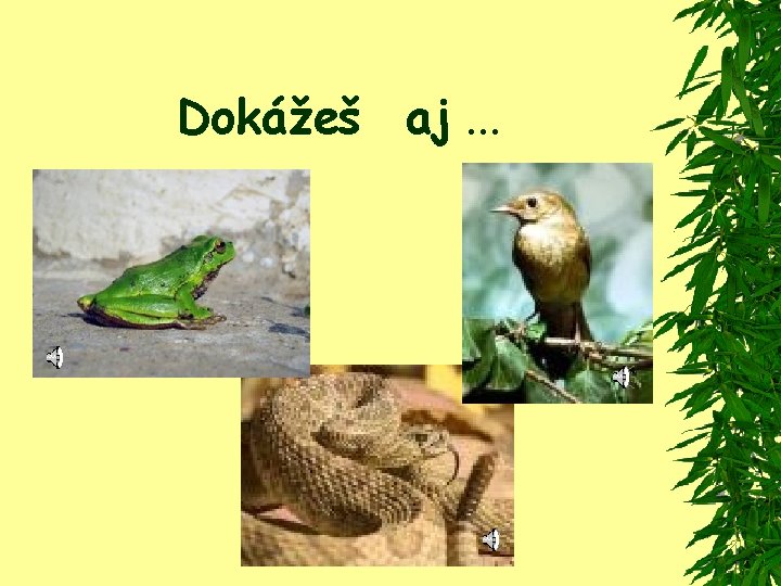 Dokážeš aj. . . 