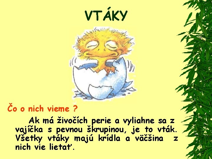 VTÁKY Čo o nich vieme ? Ak má živočích perie a vyliahne sa z