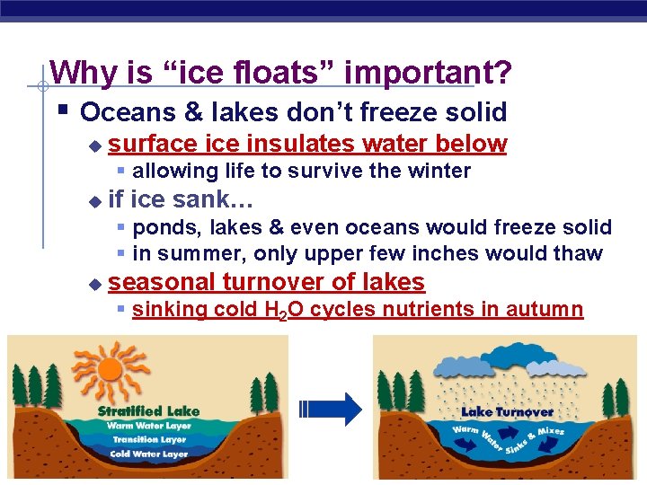 Why is “ice floats” important? § Oceans & lakes don’t freeze solid u surface